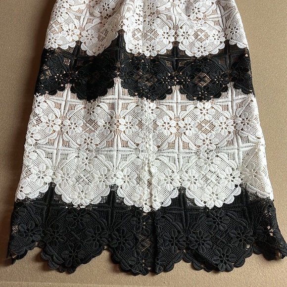 DRESS THE POPULATION NWT - VERA LACE PLUNGE NECK BLACK/WHITE MIDI DRESS- S - Picture 13 of 13